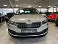 Skoda Karoq Style aus 1.Hand/Apple-Car/PDC/Tempo Grau - thumbnail 1