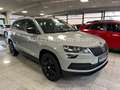 Skoda Karoq Style aus 1.Hand/Apple-Car/PDC/Tempo Gris - thumbnail 2