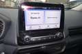 Ford EcoSport 1,0 EcoBoost 92kW Titanium / AHK Silber - thumbnail 13