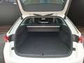 Skoda Octavia C. 1.4 TSI DSG First Edition iV NAVI+LED Klima Weiß - thumbnail 21