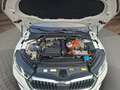 Skoda Octavia C. 1.4 TSI DSG First Edition iV NAVI+LED Klima Weiß - thumbnail 9