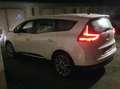 Renault Grand Scenic Grand Scénic Energy dCi 110 Intens Intens Weiß - thumbnail 3