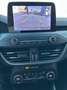 Ford Focus Active 5 Porte 1.0 EcoBoost 125cv S&S Gris - thumbnail 10