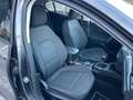 Ford Focus Active 5 Porte 1.0 EcoBoost 125cv S&S Gris - thumbnail 17