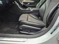 Mercedes-Benz C 250 C -Klasse T-Modell C 250 T BlueTec / d Argent - thumbnail 19