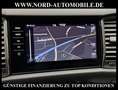 Skoda Kodiaq 2.0 TDI Scout 4x4 DSG StHz/AHK/Kamera/19 Scout 4x4 Grau - thumbnail 21