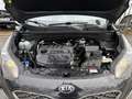 Kia Sportage 1.6 CRDI 115CH ISG ACTIVE 4X2 Noir - thumbnail 19