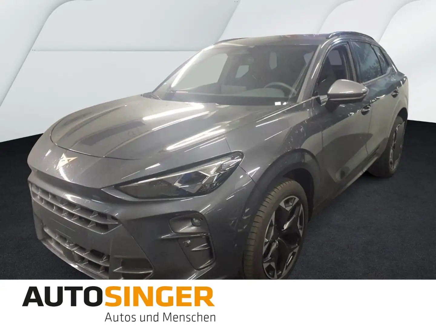 CUPRA Terramar 2.0 TSI DSG 4D *MATRIX*360*ACC*DCC*HUD* Grau - 1