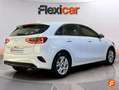 Kia 1.6 MHEV iMT 100kW (136CV) Drive Alb - thumbnail 6