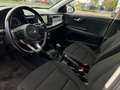 Kia Rio Dream Team Rojo - thumbnail 12