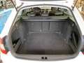 Skoda Octavia Combi 1.6 TDI Style NAVI SHZ GRA PDC Weiß - thumbnail 10