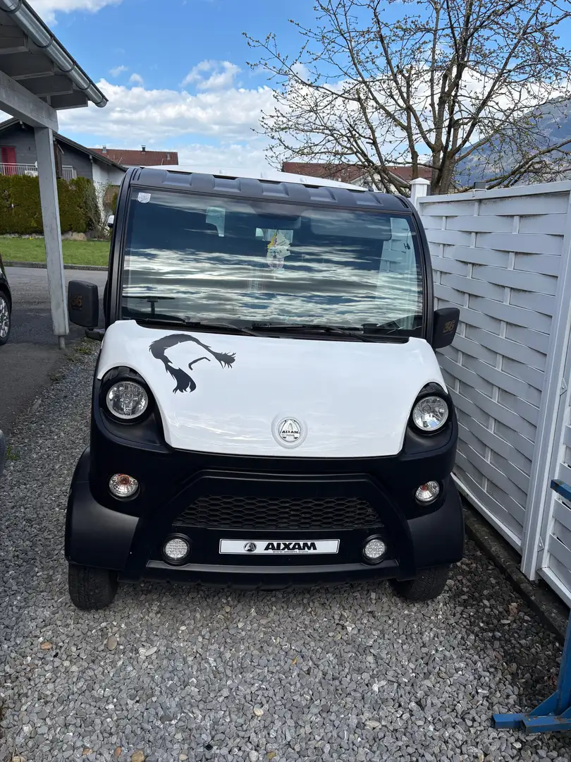 Aixam D-truck Weiß - 1