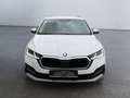 Skoda Octavia Combi Scout 2.0 TDI 4x4 DSG SmartLink Weiß - thumbnail 6