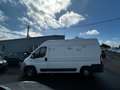 Fiat Ducato Multijet 2,3 D 120 ch RESERVE A PROFESSIONNEL DE L AUTO Weiß - thumbnail 4
