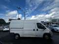 Fiat Ducato Multijet 2,3 D 120 ch RESERVE A PROFESSIONNEL DE L AUTO Weiß - thumbnail 8