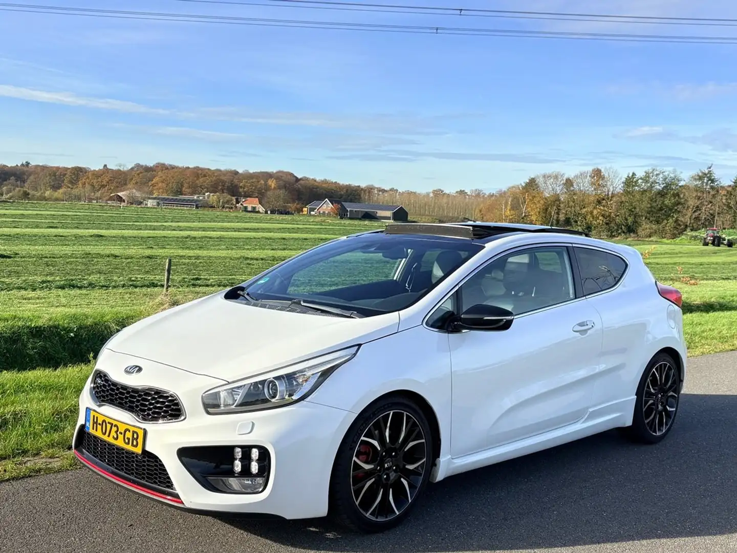 Kia Ceed / cee'd 1.6 GT, 204pk, Full options, Pano, LED, Navi, etc! Blanco - 2