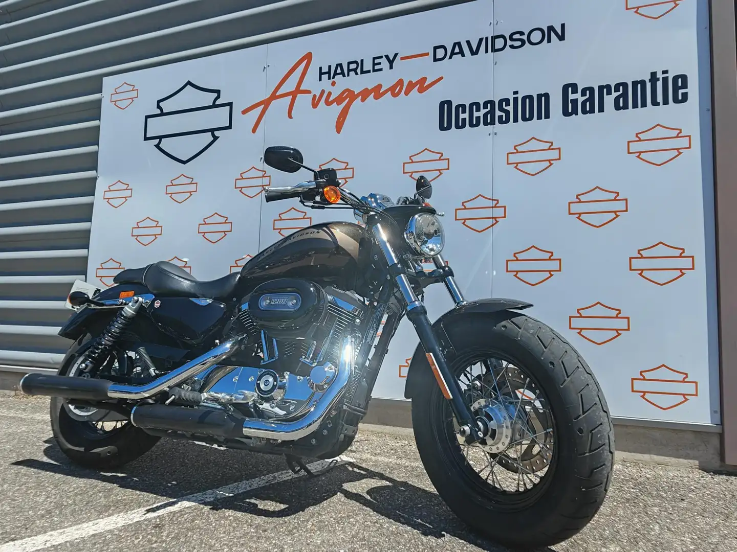 Harley-Davidson Sportster 1200 Brun - 2