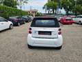 smart forTwo 1000 52 kW MHD cabrio passion Bianco - thumbnail 5