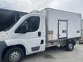 Fiat Ducato cella frigo - thumbnail 2