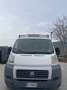Fiat Ducato cella frigo - thumbnail 1