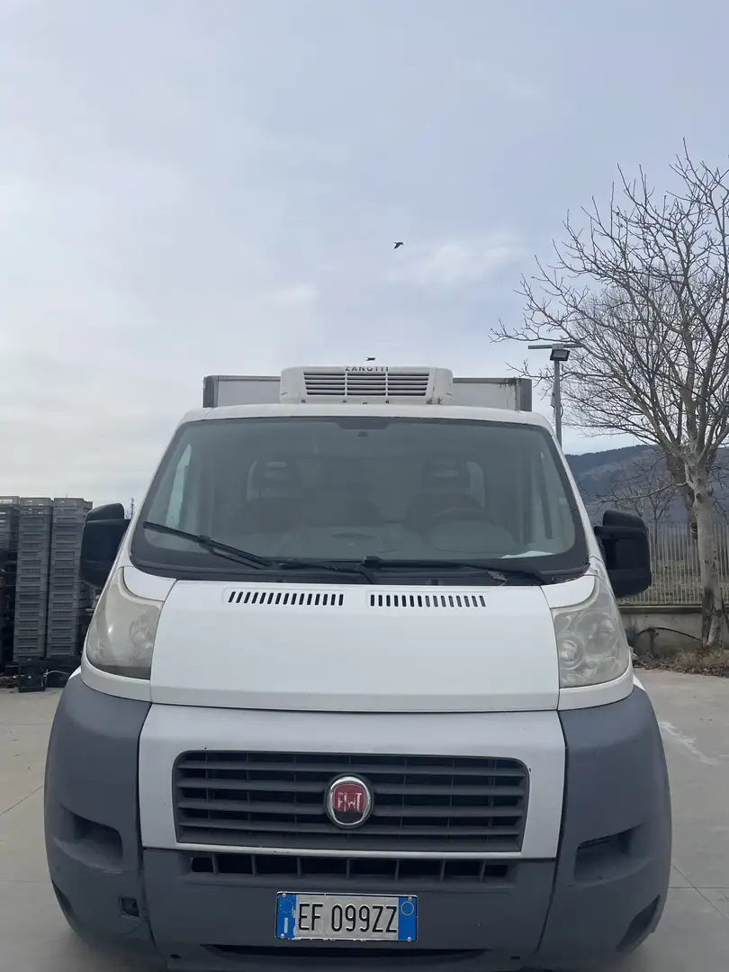 Fiat Ducato cella frigo - 1