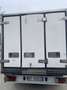 Fiat Ducato cella frigo - thumbnail 11