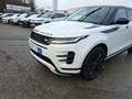 Land Rover Range Rover Evoque P200 DYNAMIC SE AWD Automatik Weiß - thumbnail 12