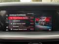 Alfa Romeo Stelvio ALFA ROMEO STELVIO 210CV Q4 Veloce TETTO 2021 Noir - thumbnail 21