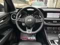 Alfa Romeo Stelvio ALFA ROMEO STELVIO 210CV Q4 Veloce TETTO 2021 Noir - thumbnail 11