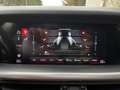 Alfa Romeo Stelvio ALFA ROMEO STELVIO 210CV Q4 Veloce TETTO 2021 Noir - thumbnail 19