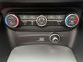 Alfa Romeo Stelvio ALFA ROMEO STELVIO 210CV Q4 Veloce TETTO 2021 Noir - thumbnail 14