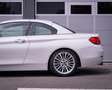 BMW 428 4-serie Cabrio 428i M Sport I Carplay I Leer I Nek Белый - thumbnail 12