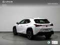 Lexus UX 250h Executive Navigation 2WD Blanc - thumbnail 2