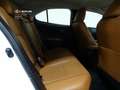 Lexus UX 250h Executive Navigation 2WD Bílá - thumbnail 7