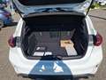 Ford Focus ST 2.3 EcoBoost ST X S/S (EURO 6d) Wit - thumbnail 14