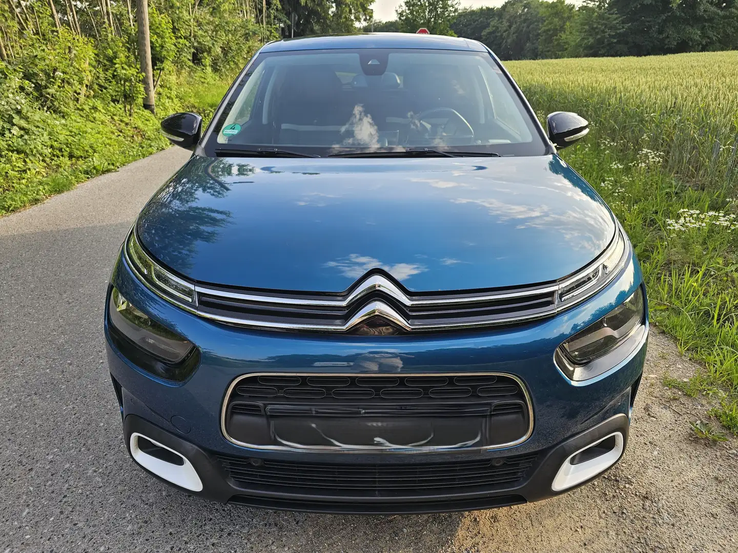 Citroen C4 Cactus C4 Cactus PureTech 130 PS Blau - 2