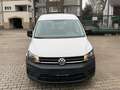 Volkswagen Caddy Maxi Kasten Lang EcoProfi | 2 Hand TÜV NEU Weiß - thumbnail 8