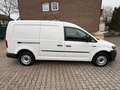 Volkswagen Caddy Maxi Kasten Lang EcoProfi | 2 Hand TÜV NEU Weiß - thumbnail 6