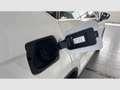 SEAT Ateca 1.5 EcoTSI S&S Xcellence DSG Blanco - thumbnail 19