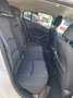 Mazda 3 Mazda3 1.5 Skyactiv-D Evolve Plus Bianco - thumbnail 15