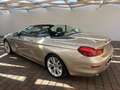 BMW 640 Serie 6 F12 2011 Cabrio 640i Cabrio Futura auto Bronze - thumbnail 4
