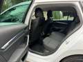Skoda Octavia Style*2.0TDI*DSG*RFK*LED*E-HK*ACC*SHZ*APP* Weiß - thumbnail 14