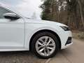 Skoda Octavia Style*2.0TDI*DSG*RFK*LED*E-HK*ACC*SHZ*APP* Weiß - thumbnail 5