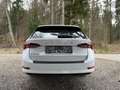 Skoda Octavia Style*2.0TDI*DSG*RFK*LED*E-HK*ACC*SHZ*APP* Weiß - thumbnail 8