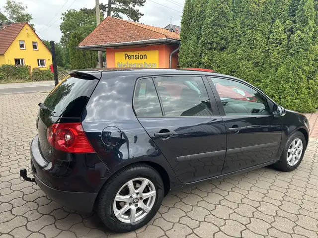 Volkswagen Golf view 4