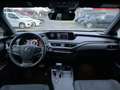 Lexus UX 250h Style Edition ACC FLA SpurH LM KAM LED Grau - thumbnail 10