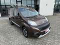 Fiat Qubo 1.3 MJT 80 CV Trekking Marrone - thumbnail 2