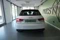 Audi A1 1.0 tfsi ultra Admired 95cv s-tronic Bianco - thumbnail 7