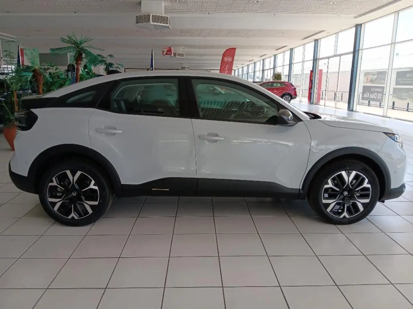 Citroen C4 Hybrid Business Edition eDSC6 145 Blanco - 2