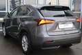 Lexus NX 300 300h E-FOUR Luxury Line Grau - thumbnail 3